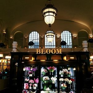 Meet your Posher, Camery